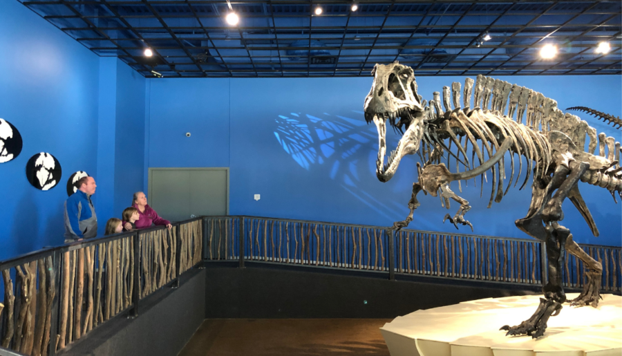 Museum of the Red River: Home to Oklahoma’s State Dinosaur