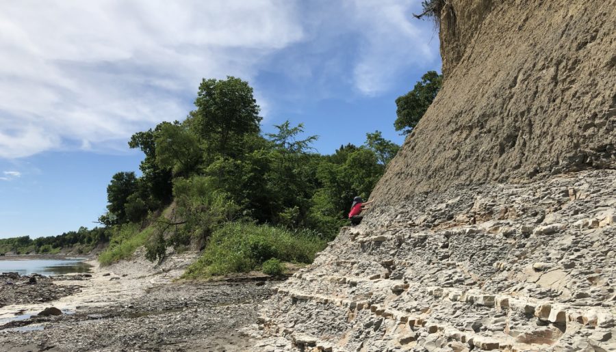 Shark Teeth in the Sulphur River? Dig for Fossils in Northeast Texas