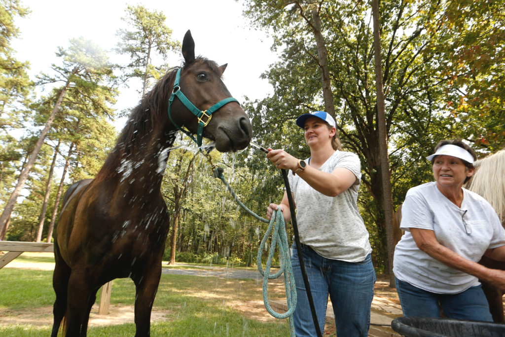 Heather Raney smiling as she gives her quarter horse a drink with the water hose during a trail ride