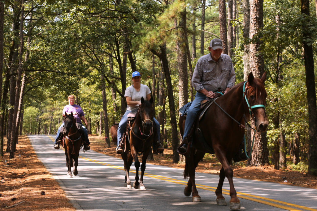 Three people riding horseback down a country road surrounded by trees
